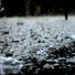 School of Rain