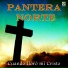 Pantera Norte
