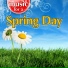 Weather Delight