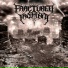 Fractured Insanity