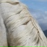 Doleful