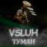 VSLUH