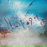 Electus