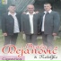 Braca Dejanovic