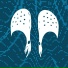 CrocsNSocks