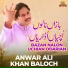 Anwar Ali Khan Baloch