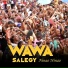 Wawa Salegy