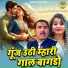 Ravinder Khalour, Pooja Sharma