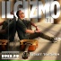 Ilgizmo