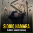 Sheraz Ahmad Farooqi