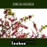 Technomind