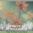 Spiritual Mellow
