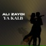 Ali Zaydi