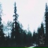 Цвети