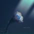 Shisou, Dark Life Note