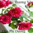 Đào Phi Dương