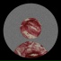VHSMC