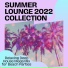 Taste of Lounge