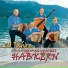Schwyzerörgeliquartett Habkern