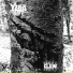 YZBA