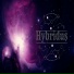Hybridus
