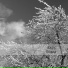 Audiofly