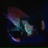 Lina Cosmic