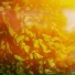 Heatwaves