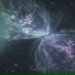 ONELIVE