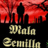 Malasemillacrew feat. Jafill
