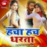 Anil