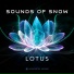 Sounds of Snow