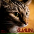 Bjalin