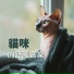 貓咪睡眠
