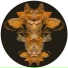 DLR, Nymfo, Need For Mirrors, HLZ