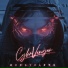 CyberVenger