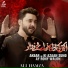 Ali Hamza