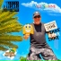 Will Sonne feat. Mallorca Party Band