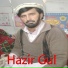 Hazir Gul
