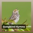 Swedish Forest Birds