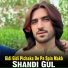 Shandi Gul