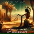 Fadi Natour