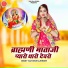 Vijay Singh Rajpurohit