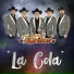 Los Tigrillos