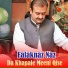 Falaknaz Naz