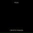 CRYSTO PANDA
