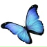 DIFI