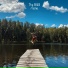 The Bird