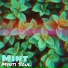 Mynti Soul