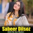 Sabeer Dilsoz